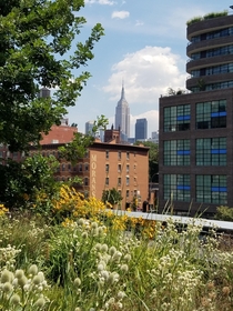 The Empire State Building from the High Line New York City  OC