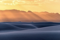 The evening light over the shadowed dunes of White Sands NM was absolutely gorgeous 