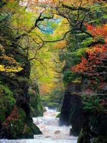 The Fairy Glen is a secluded and enchanting gorge on the river Conwy near to Betws-y-Coed in Wales Photo by Brian McKay 
