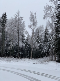 The first snowfall from my hometown in Alaska were awfully late this year