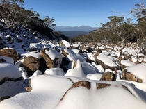 The first snows of winter Mount Field National Park Tasmania Photo credit to darrochdonald