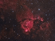The Fish Head Nebula 