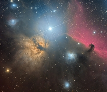 The Flame and Horsehead Nebulae in the Orion Constellation  Photographed by Jos Joaqun Prez
