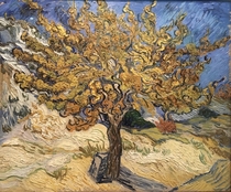 The Flaming Mulberry Tree Morus genus by Vincent Van Gogh at the Norton Simon Museum in Pasadena Its my favorite painting at the gallery