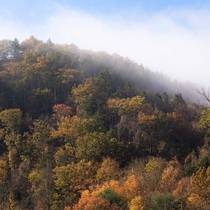 The fog rising off an autumn colored mountain OC