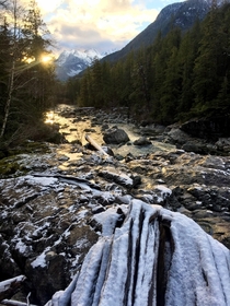 The frozen banks of the Kennedy River Vancouver Island Canada 
