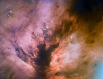 The glow of ionized hydrogen in the Flame Nebula in Orions belt  by Adam Block