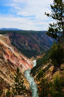 The Grand Canyon of The Yellowstone National Park 
