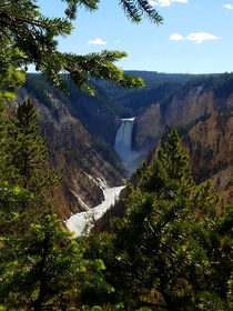 The Grand Canyon of the Yellowstone Yellowstone NP 