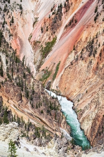 The Grand Canyon of Yellowstone Wyoming 