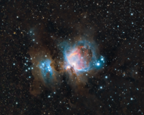The Great Orion Nebula taken from my backyard 