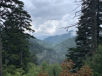 The Great Smoky Mountains on an August drive 
