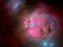 The Great Turkey Nebula