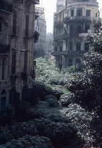 The Green Line demarcation zone Beirut Lebanon   x-post rhistoryporn