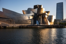 The Guggenheim Museum in Bilbao 