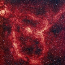 The Heart Nebula  Photo by Konstantin Mironov