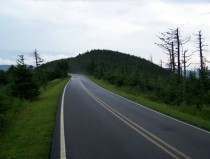 The Highest Road in the Eastern United State on top of Mt Mitchell 