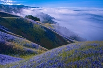 The hills of the Ventana Wilderness above Big Sur California  by Douglas Croft