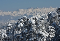 The Himlayas from Shimla in India 