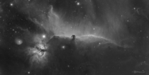 The Horsehead Nebula - My largest backyard project to date  x