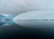 The ice can take numerous shapes sizes both vivid and muted colors and this one kind of looks like a profile of a bird over water as smooth as glass in early summer Ilulissat Greenland 