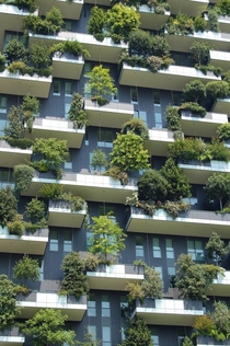 The incredible Bosco Verticale residential towers in Milan Italy