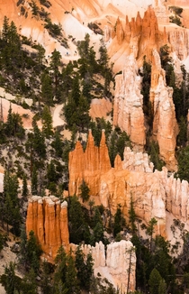 The incredible variety of hoodoos in Bryce Canyon NP  Shown asparagus temple spire castle complex 