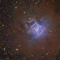 The Iris Nebula - a beautiful reflection nebula surrounded by dust 