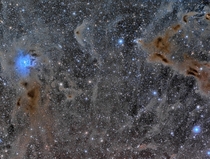 The Iris Nebula in a Field of Dust 