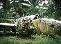 The jungle steadily reclaims a Lockheed Ventura of the New Zealand Air Force This aircraft crashed at Talasea Airfield when it suffered from engine failure in September  following a bombing mission against Japanese shipping in Rabaul Harbour New Britain