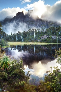 The Labyrinth Tasmania by Gerard Horsman 