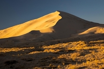 The largest dune in the Mojave 