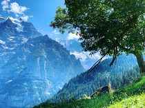 The Lauterbrunnen Valley Switzerland x 