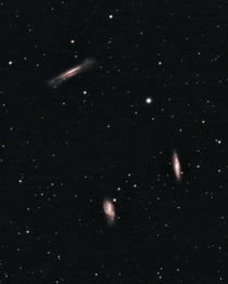The Leo Triplet - A Bundle of Galaxies Captured From My Light Polluted Backyard