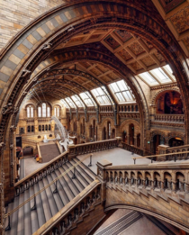 The London Natural History Museum