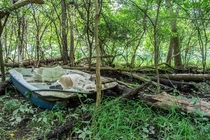 The Lost Pedal Boat - near the bank of the Rouge River Northville MI