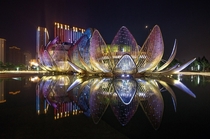 The Lotus Building in Wujin China 