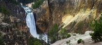 The Lower Falls of Yellowstone From Above 