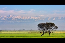 The Lower Himalayas visible from the Plains of Punjab Head Marala Sialkot Pakistan 