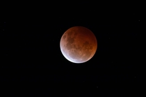 The lunar eclipse from my backyard in Melbourne tonight