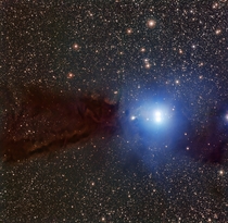 The Lupus  dark cloud and associated hot young stars 