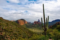 The Lush Sonoran Desert in Superstition Wilderness Arizona USA 