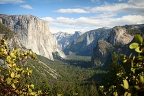 The magical Yosemite Valley California 