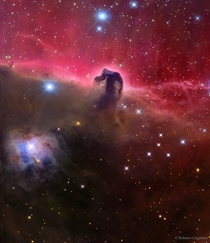 The Magnificent Horsehead Nebula 