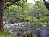 The Main River In Callander Scotland 