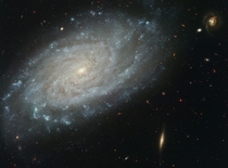 The majestic dusty spiral NGC  