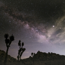 The Milky Way as seen from Joshua Tree NP