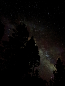 The Milky Way shot on a Pixel  in the Sequoia National Forest OC