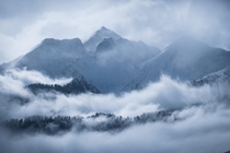 The Misty Mountains Laax Switzerland 