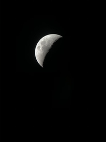 The moon from my backyard